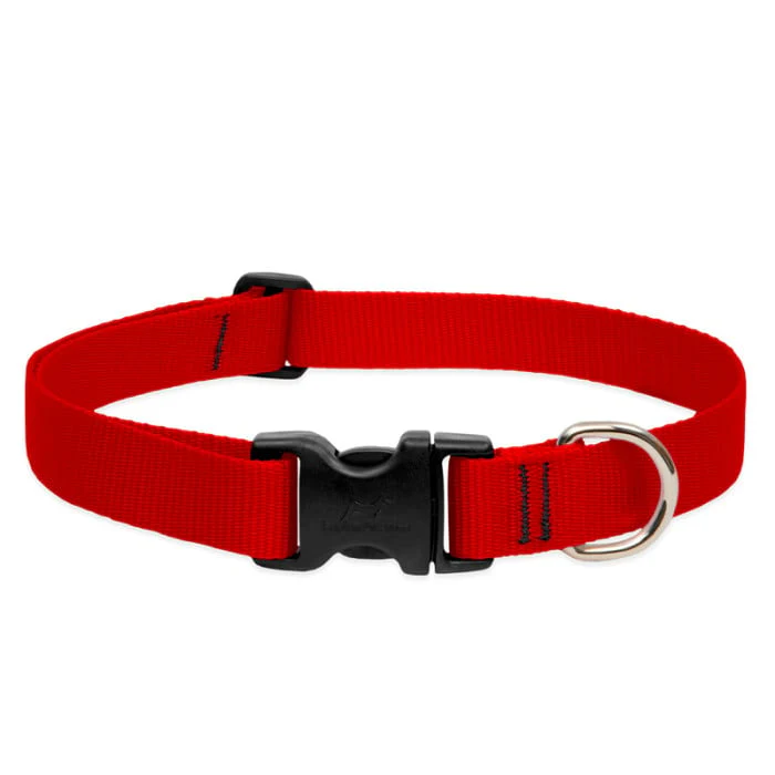 Lupine Pet Dog 1 In Wide 12-20 In Adjustable Collar Basics Red - Image 1