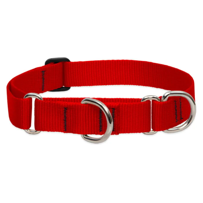 Lupine Pet Dog 1 In Wide 19-27 In Martingale Collar Basic Red - Image 1
