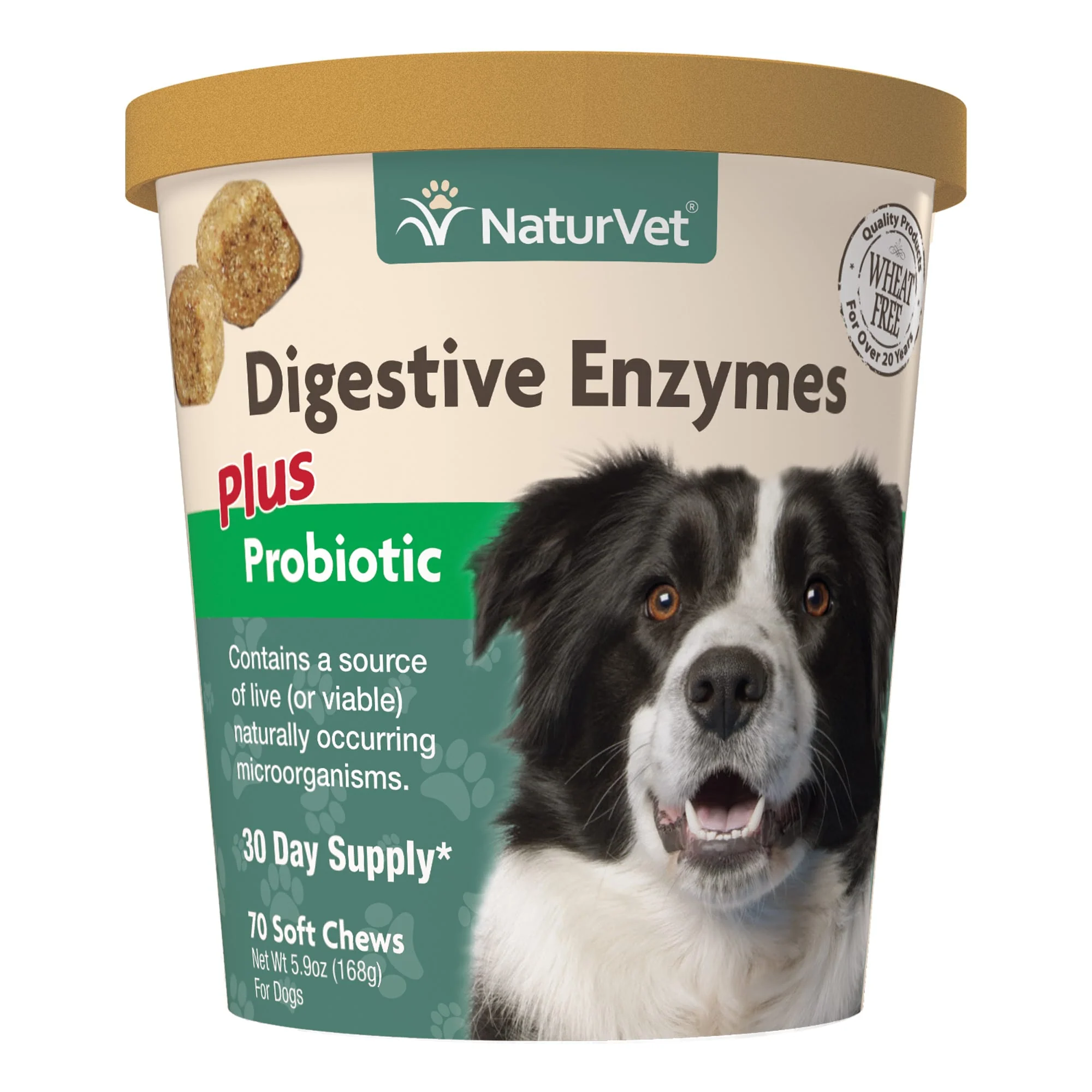 NaturVet Healthy Probiotics and Digestive Enzyme Supplement for Dogs, 70 Soft Chews - Image 1