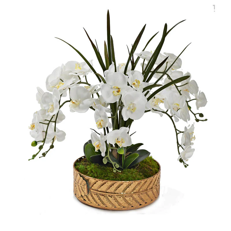 D&W Silks White Orchids & Areca Grass in Medium Salve Planter – 231020