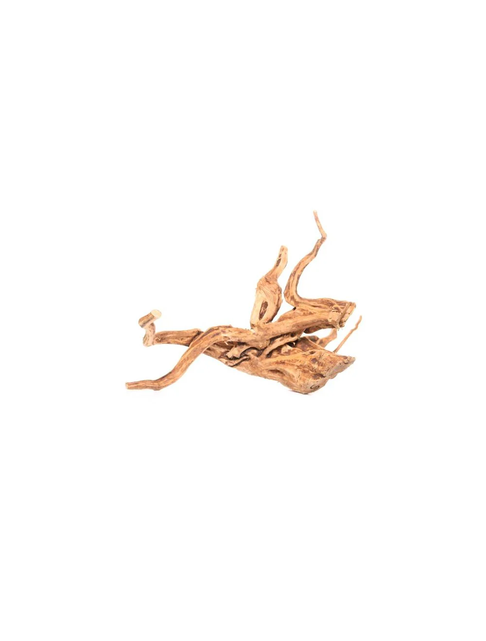 Underwater Treasures Terrarium Wood Small - Image 1