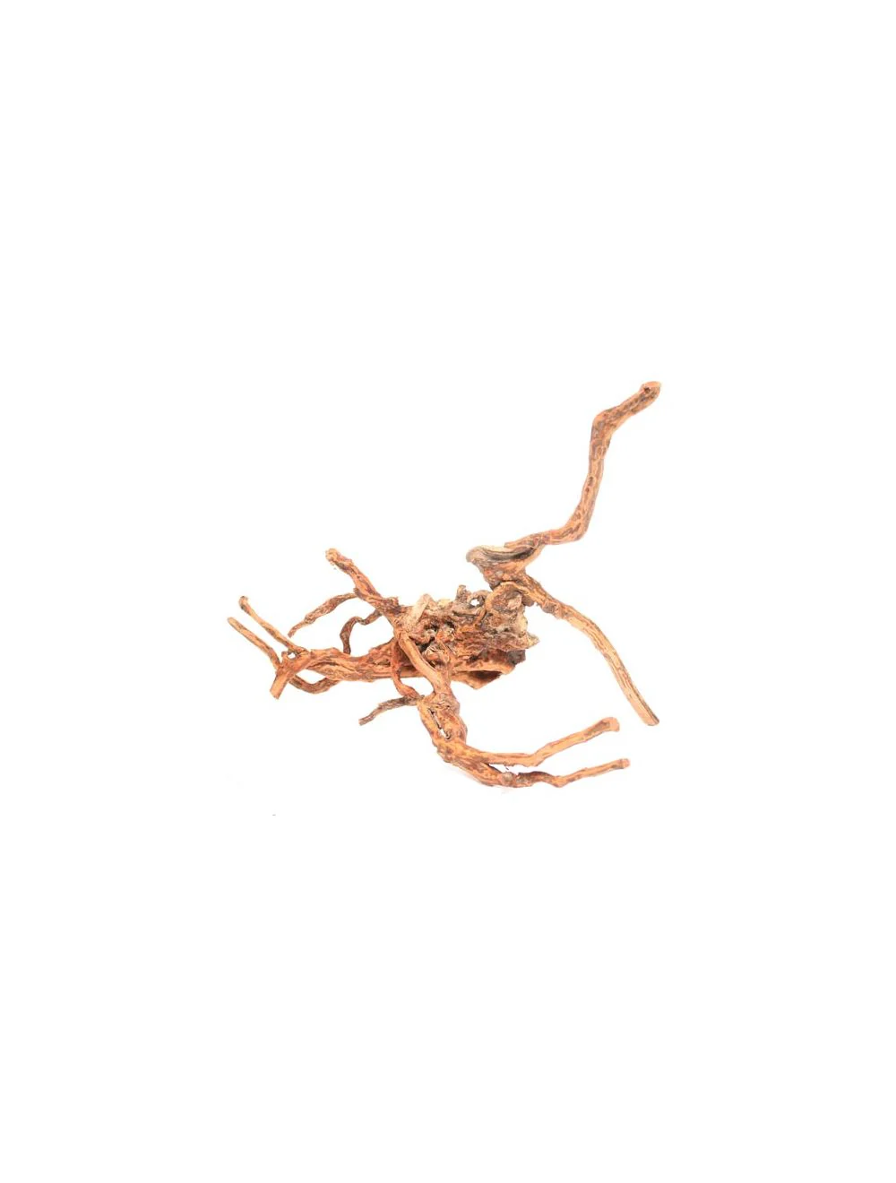 Underwater Treasures Terrarium Wood Medium - Image 1