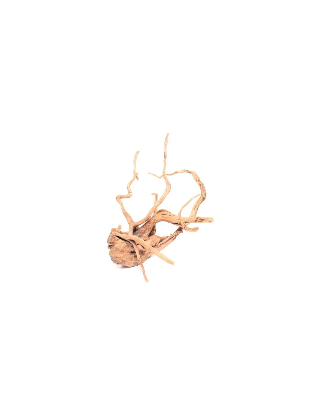 Underwater Treasures Terrarium Wood Large - Image 1