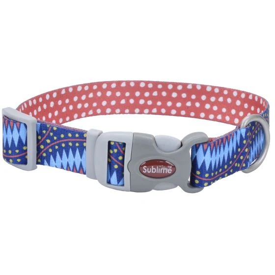 Coastal Sublime 1 1/2in Wide 18-26in Adjustable Dog Collar Diamond Dots - Image 1