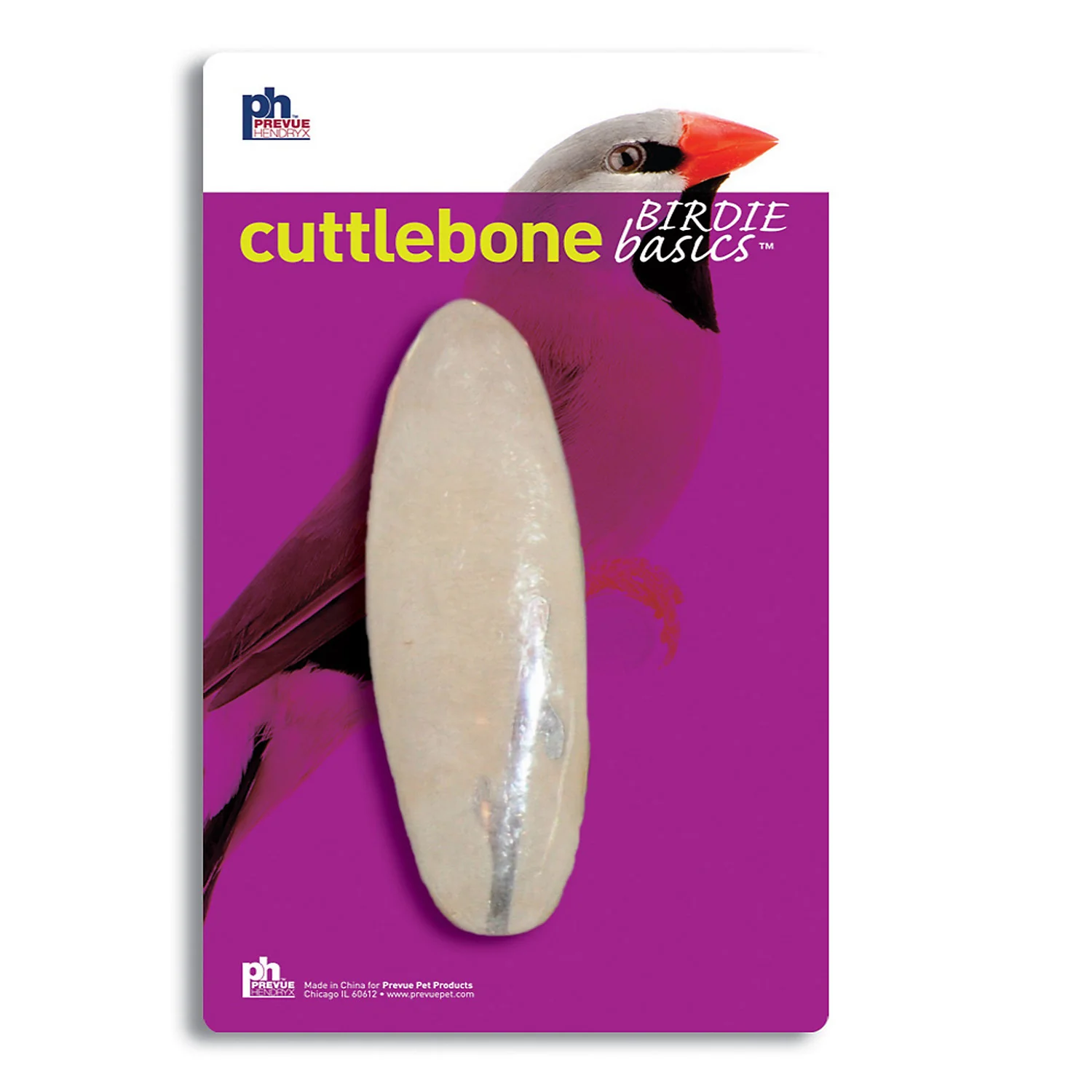 Large Cuttlebone - Image 1