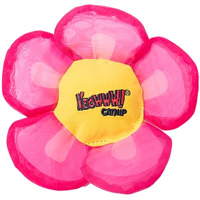 Yeowww! Daisy