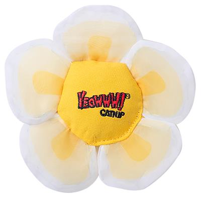 Yeowww! Daisy