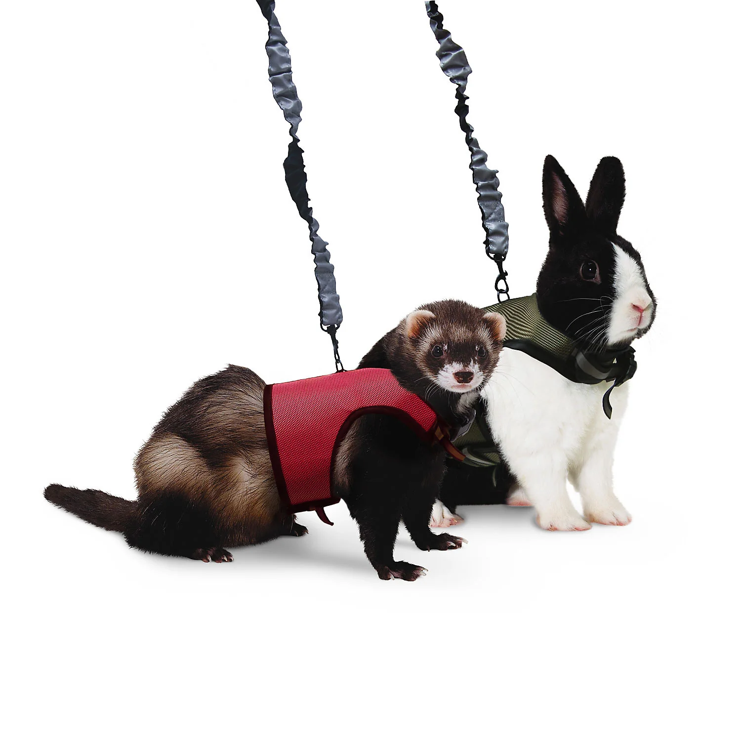 Kaytee Comfort Harness And Stretch Leash Small - Image 1