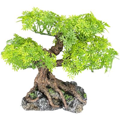 Komodo Bonsai Tree 16in - Image 1