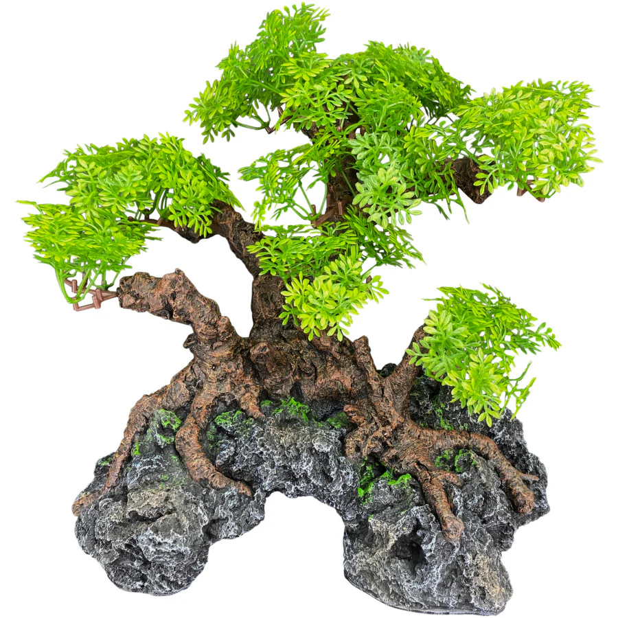 Komodo Bonsai Tree with Hide 18in - Image 1
