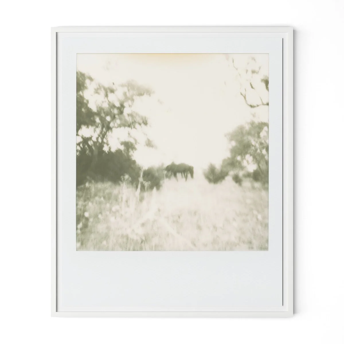 Horses by Darden Smith - Image 2