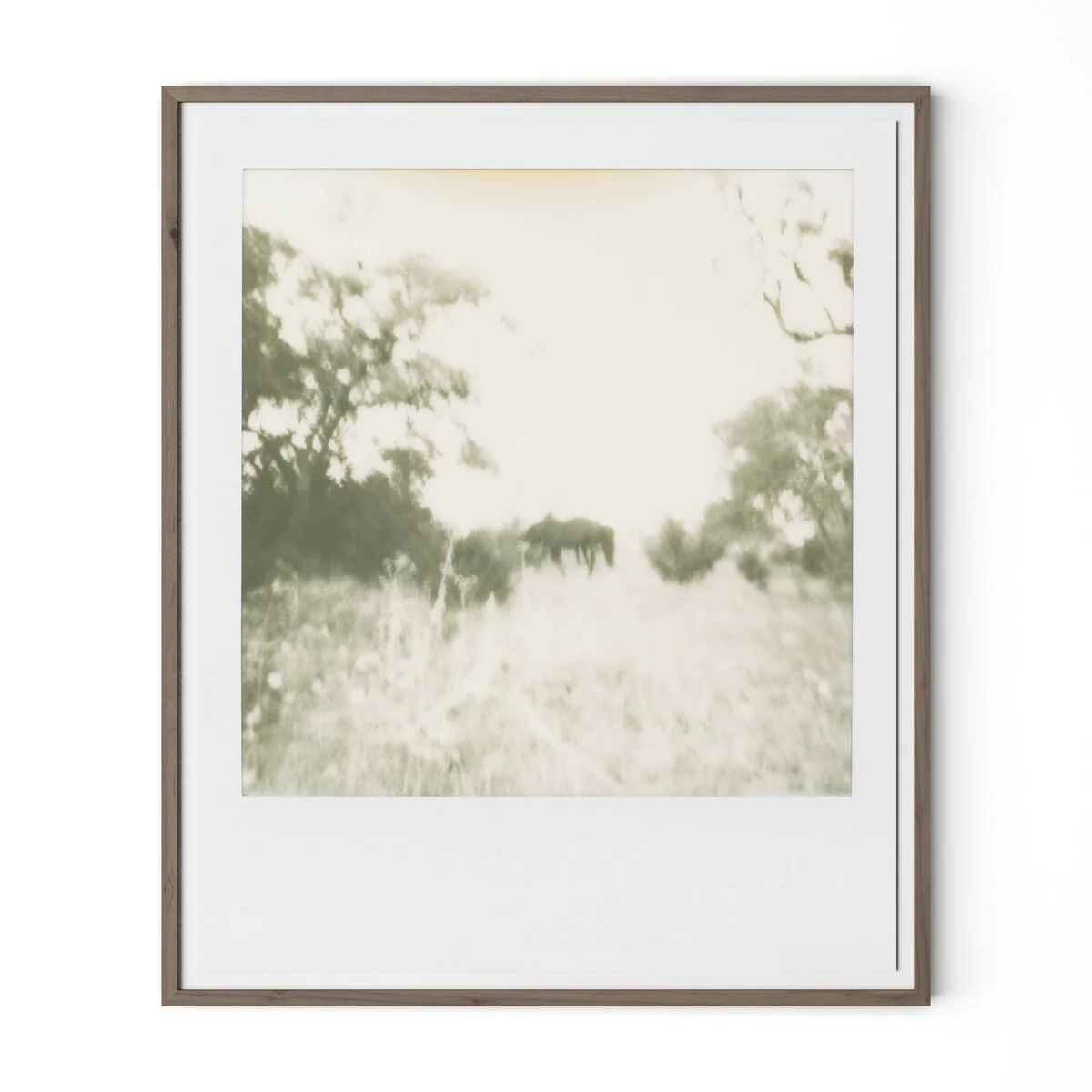 Horses by Darden Smith - Image 3
