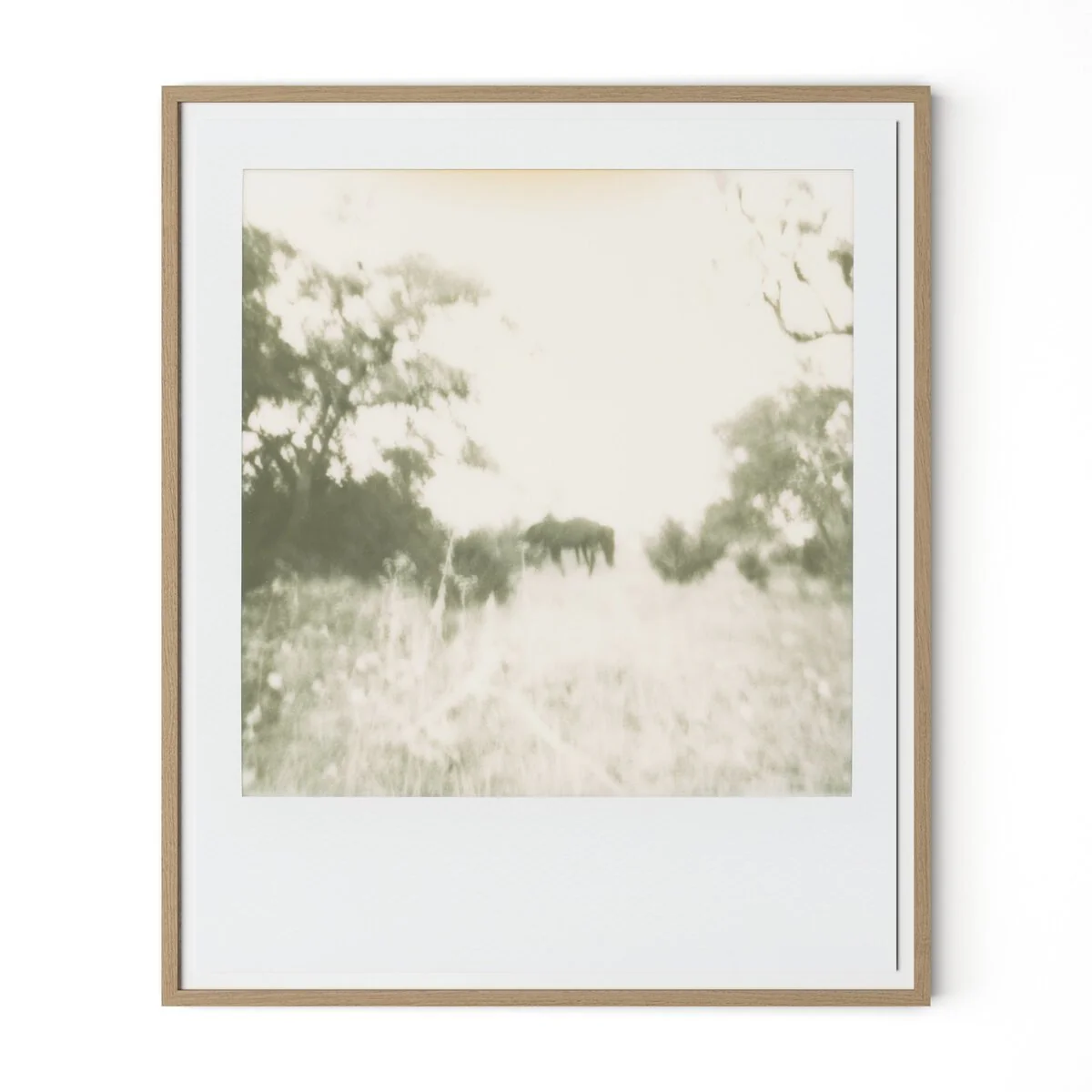 Horses by Darden Smith - Image 1