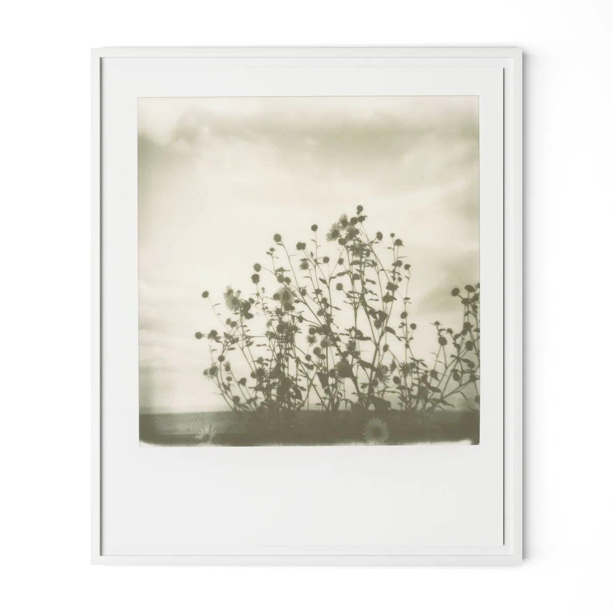 Sunflowers by Darden Smith - Image 2
