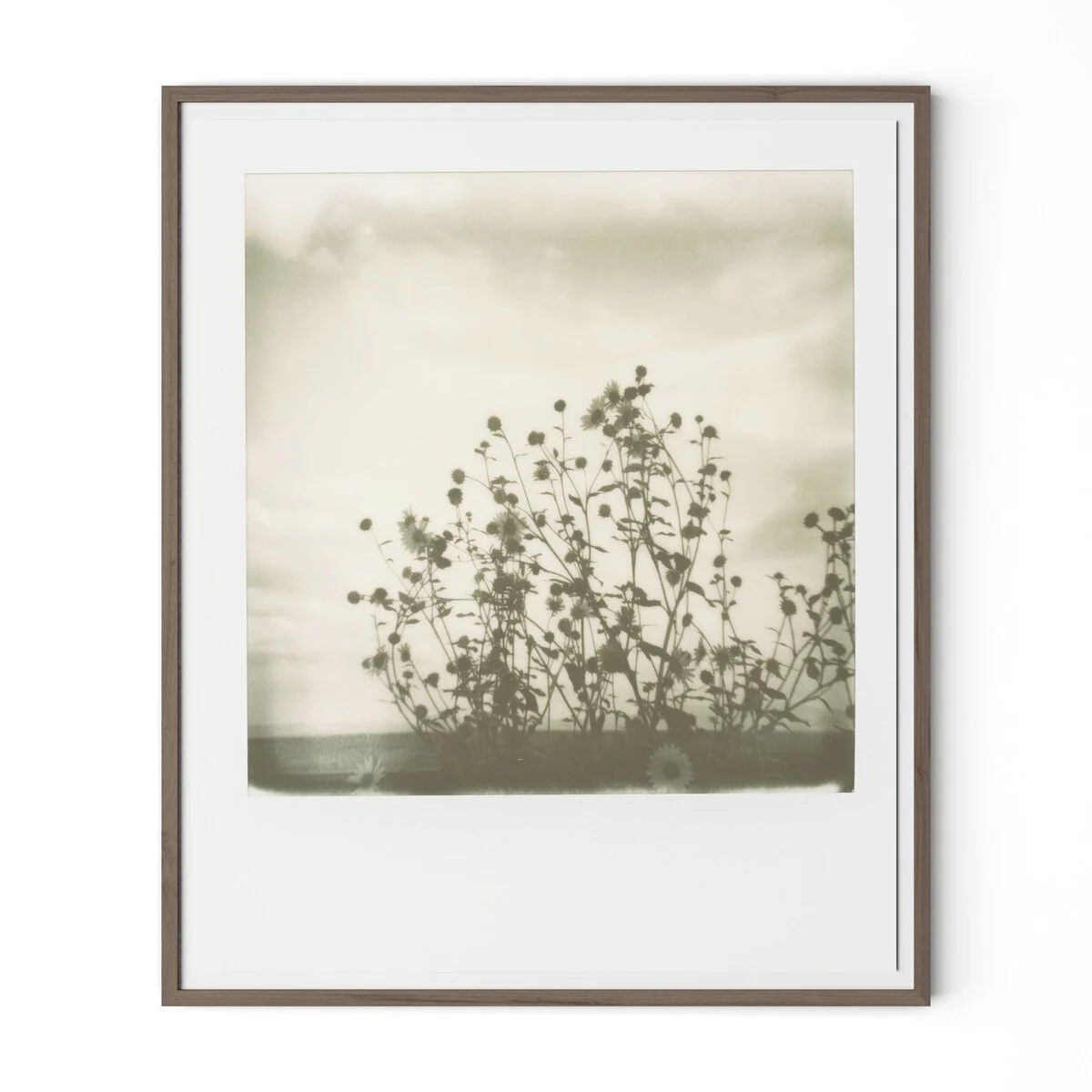 Sunflowers by Darden Smith - Image 3