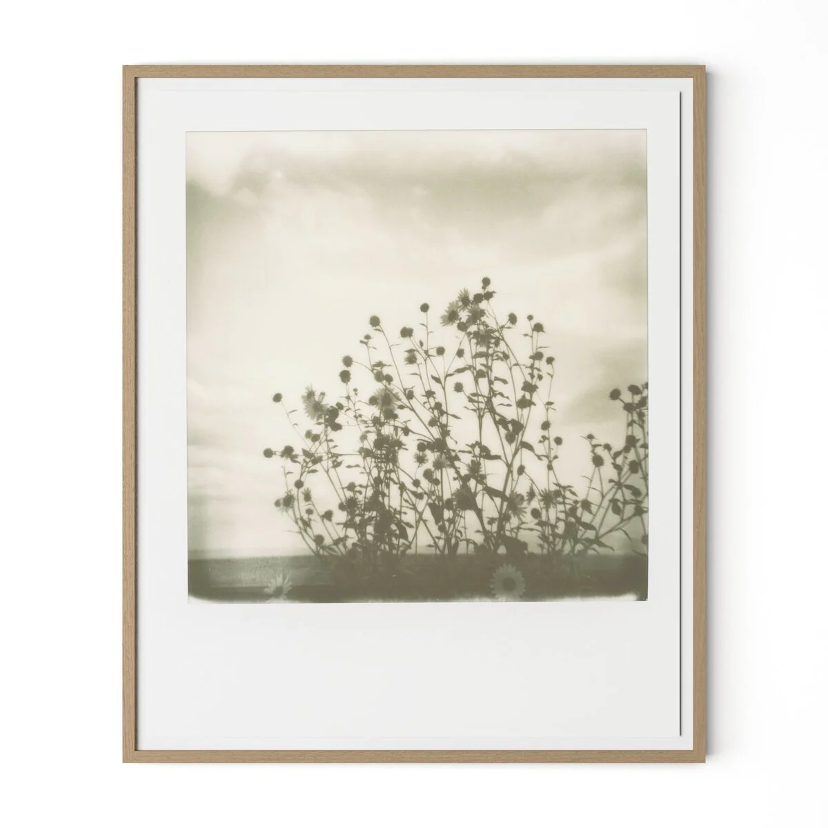 Sunflowers by Darden Smith - Image 1