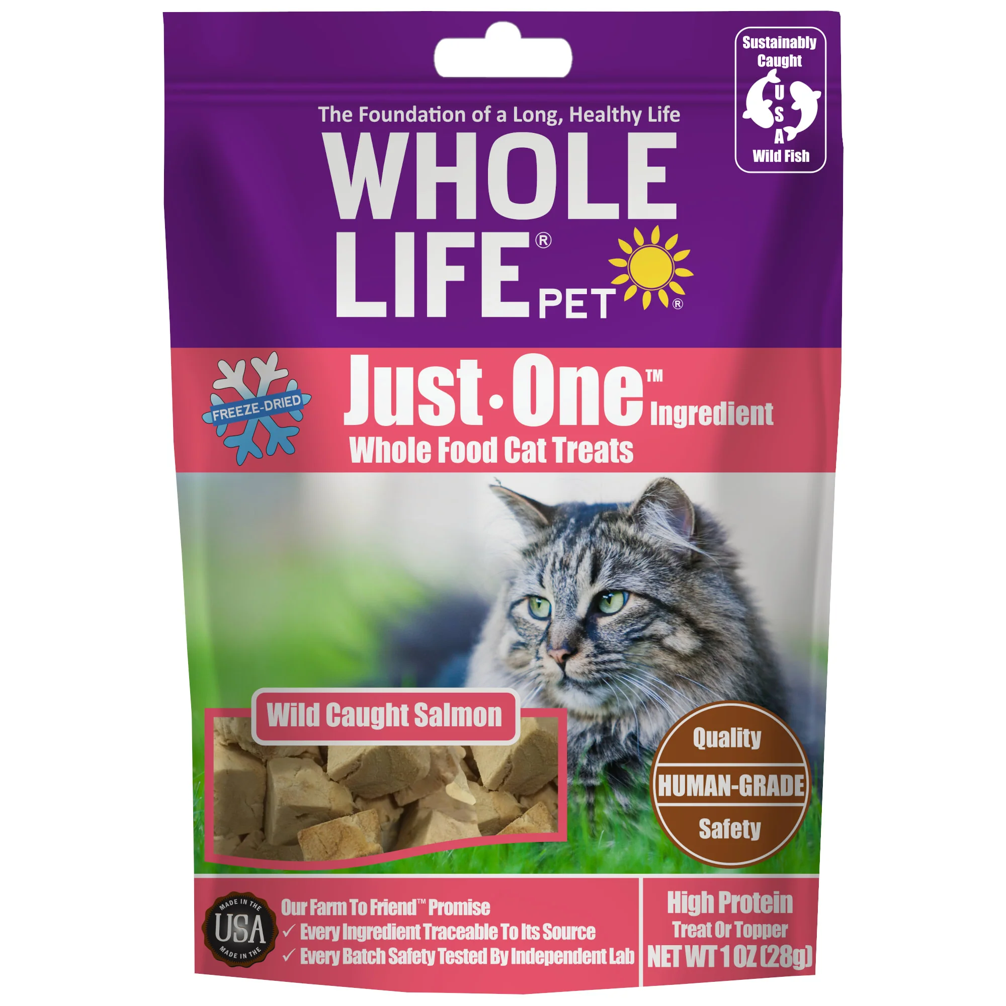 Whole Life Pet Just One Ingredient Salmon Freeze Dried Cat Treats 1oz - Image 1