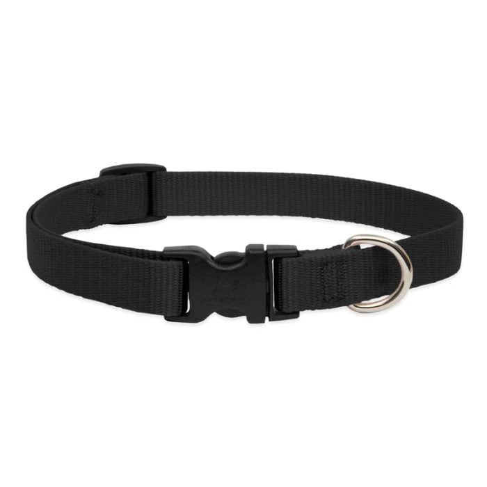 Lupine Pet Dog 3/4 In Wide 13-22 In Adjustible Collar Basic Black - Image 1
