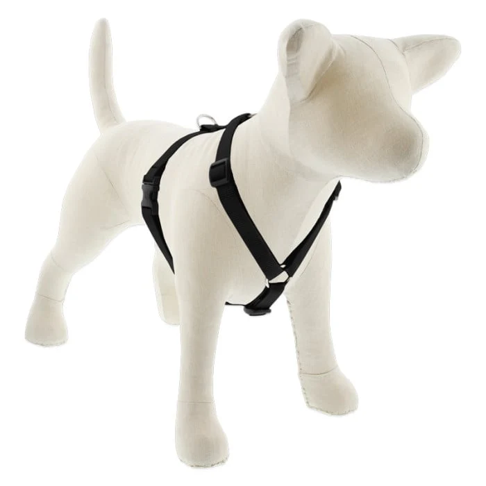 Lupine Pet Dog 3/4 In In Wide 14-24 In Roman Harness Basics Black - Image 1