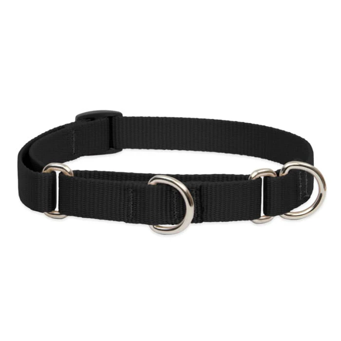 Lupine Pet Dog 3/4 In Wide 14-20 In Martingale Collar Basic Black - Image 1