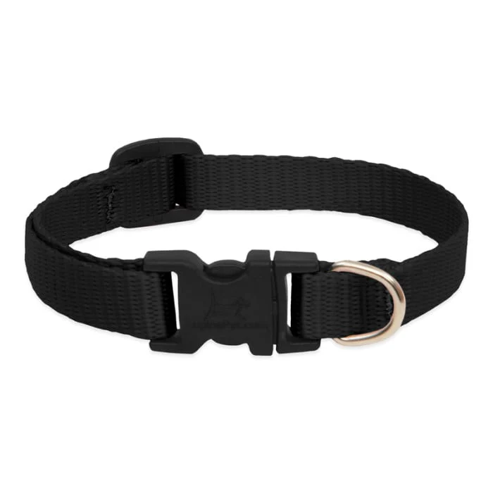 Lupine Pet Dog 2/4 In Wide 9-14 In Adjustable Collar Basic Black - Image 1