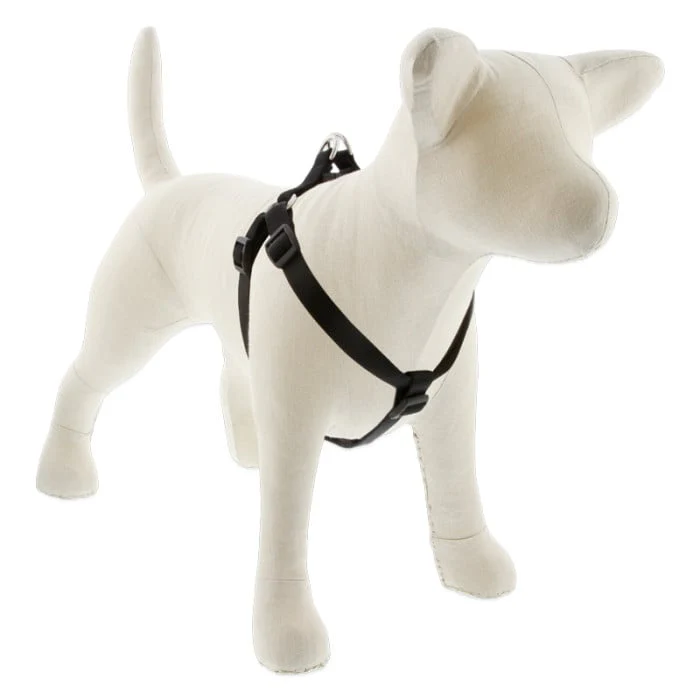 Lupine Pet Dog 3/4 In Wide 20-30 In Step  In Harness Basics Black - Image 1