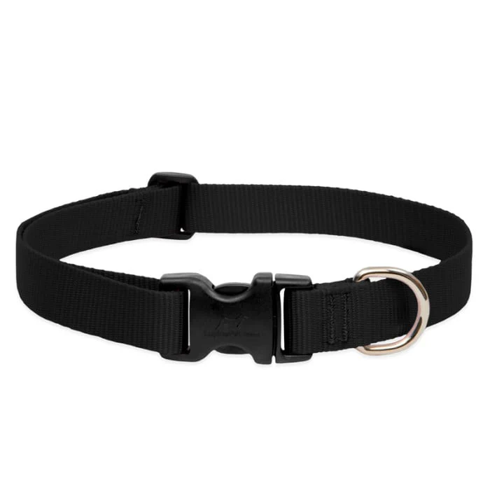 Lupine Pet Dog 1 In Wide 12-20 In Adjustable Collar Basics Black - Image 1