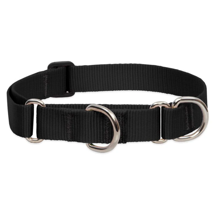 Lupine Pet Dog 1 In Wide 15-22 In Martingale Collar Basic Black - Image 1
