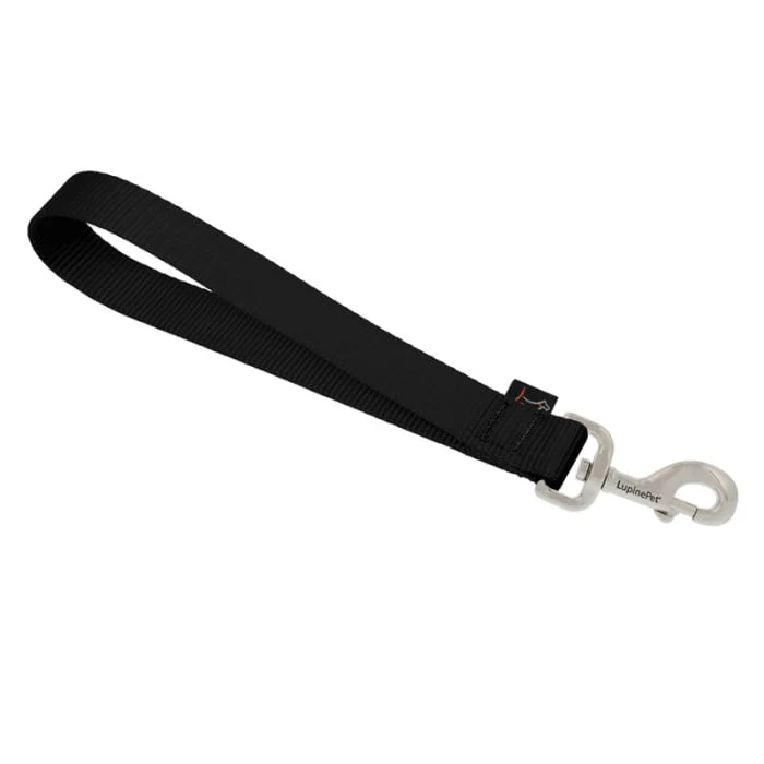 Lupine Pet Dog 1 In Wide Tra In Ing Tab Basics Black - Image 1