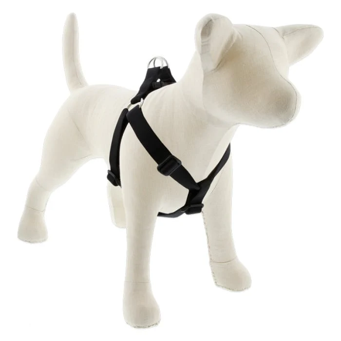 Lupine Pet Dog 1 In Wide 19-28 In Step  In Harness Basics Black - Image 1