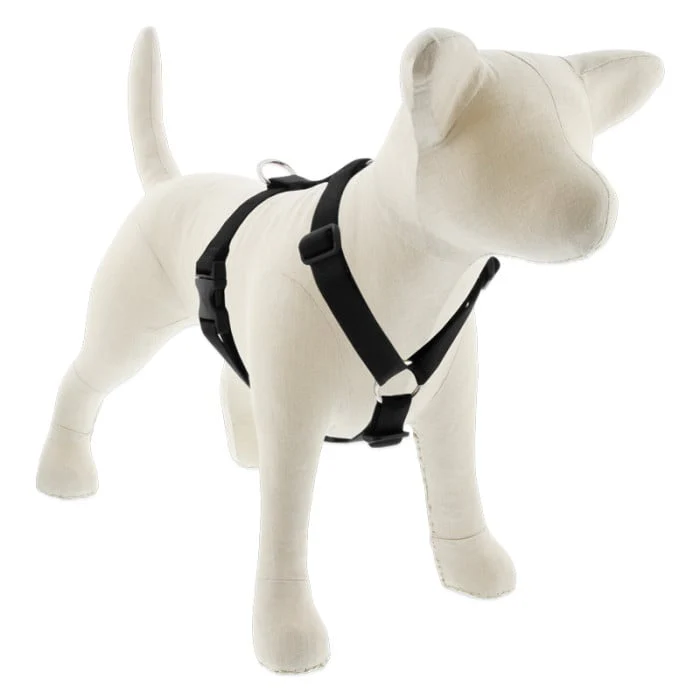 Lupine Pet Dog 1 In 20-32 In Roman Harness Basics Black - Image 1