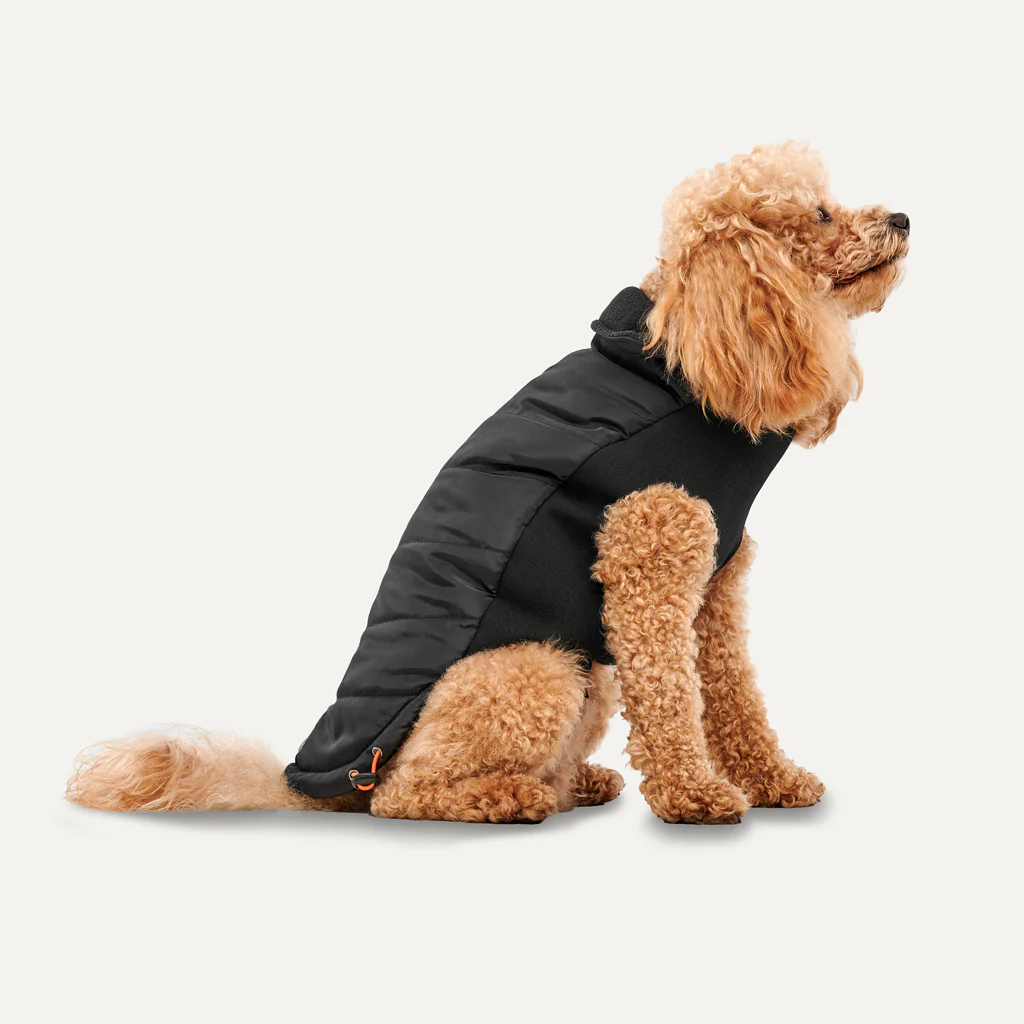 Gooeez Black Mock Neck Signature Jacket eXtra Small - Image 1