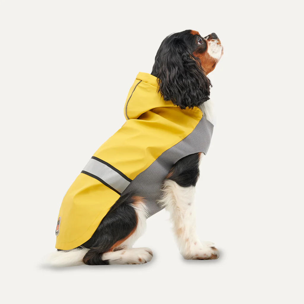 Gooeez Reflective Hooded Raincoat Yellow/Grey Large - Image 1