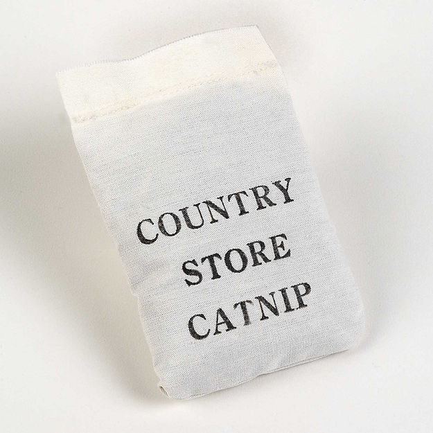 Dr Daniels Catnip Bulk Bag - Image 1