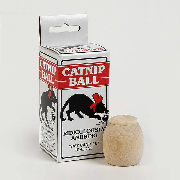 Dr Daniels Catnip Wooden Ball - Image 1