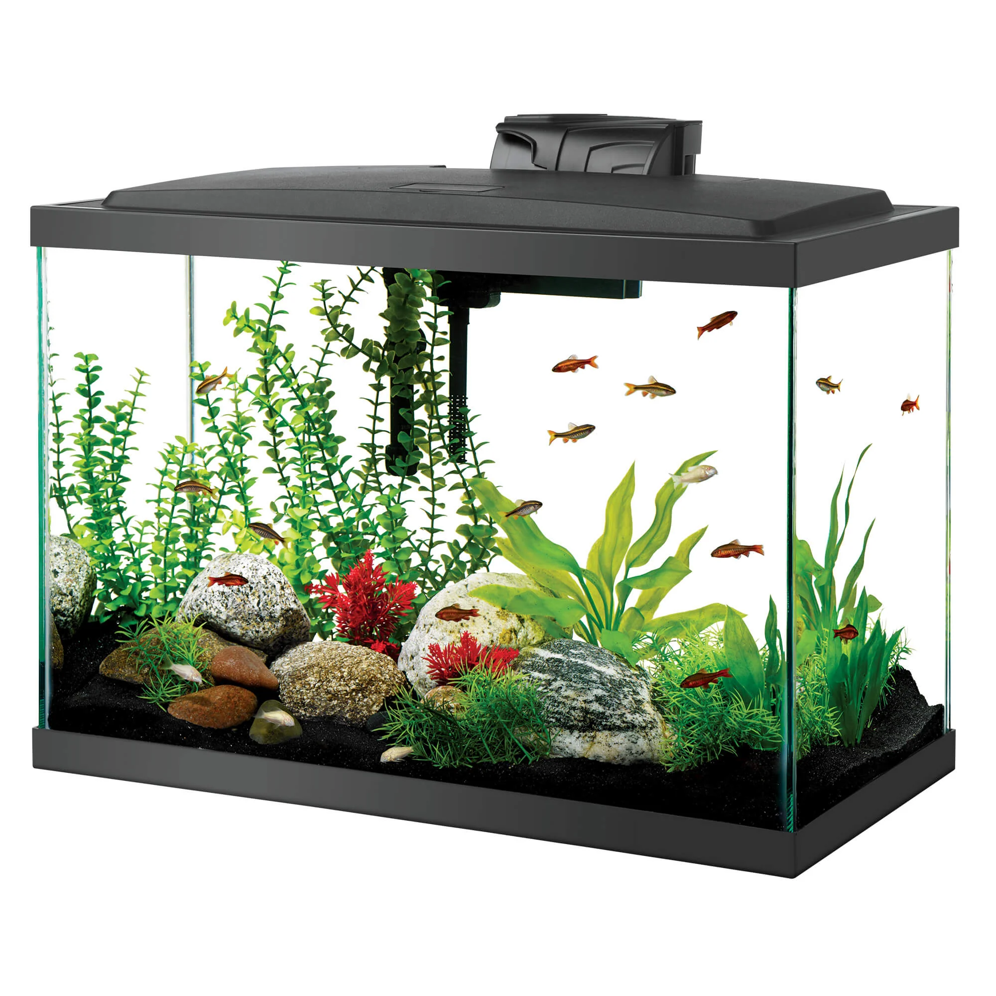 Aqueon Aquarium Starter Kit with LED Lighting 20 High - Image 1
