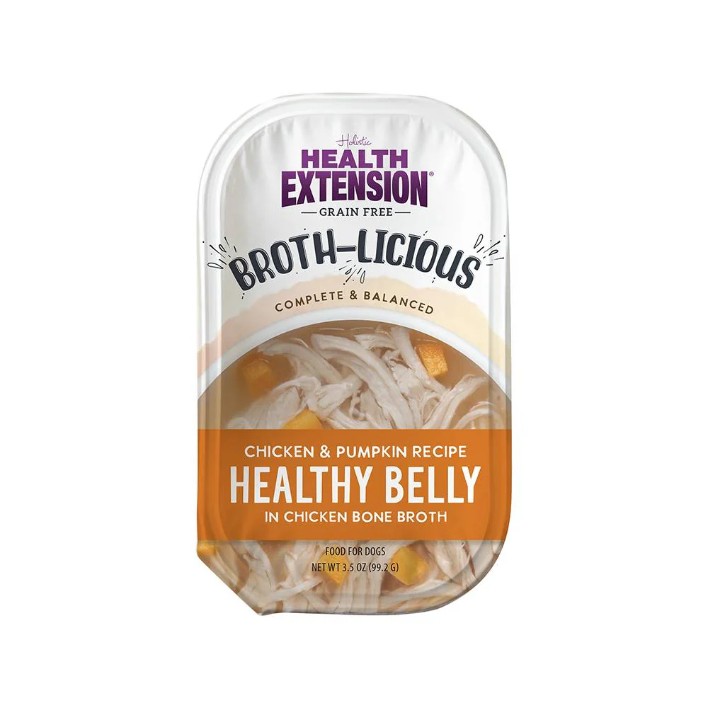 Health Extension Healthy Belly Chicken and Pumpkin Wet Dog Food 3.5oz Single - Image 1