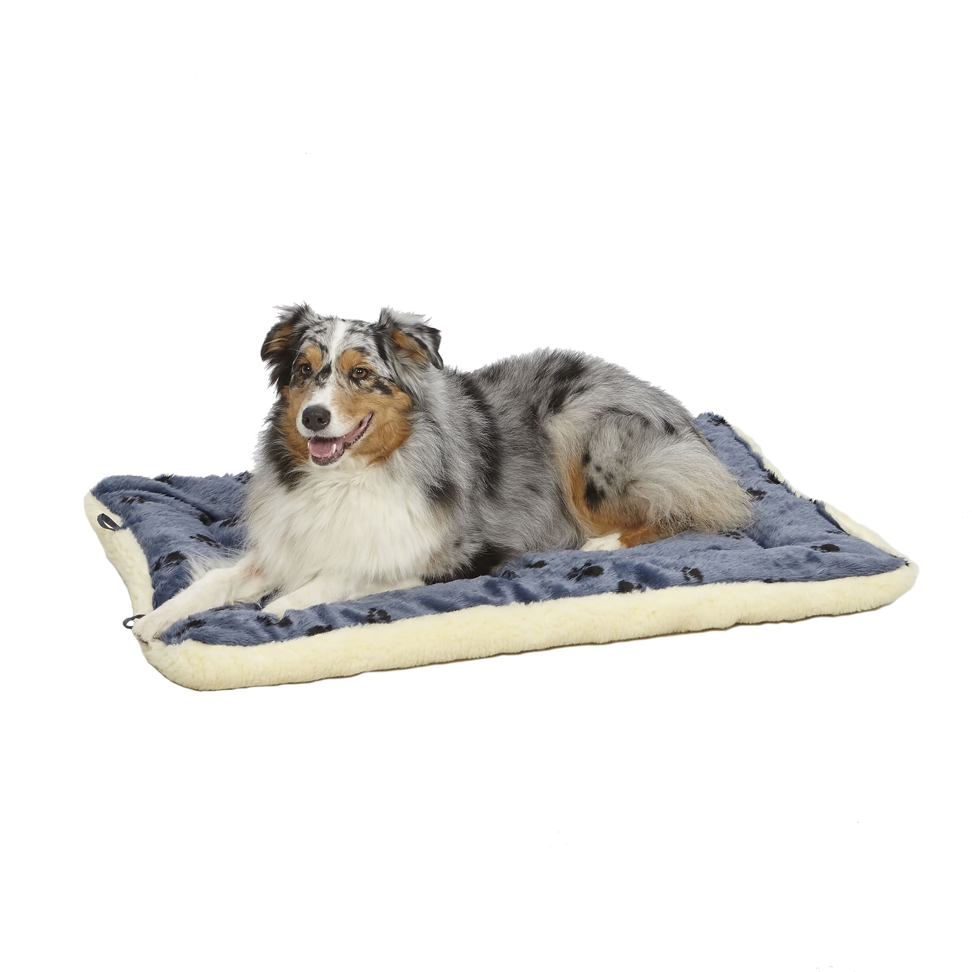 machine washable / dryer safe dog bed - Image 1