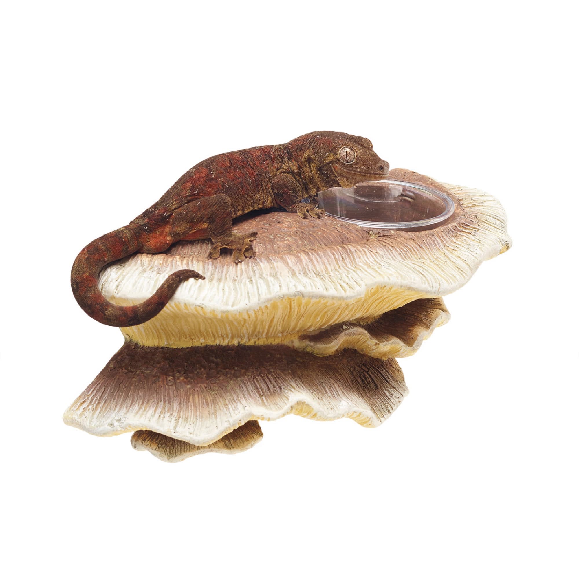 Zilla Vertical Decor for Reptiles  Mushroom Feeding Ledge - Image 1