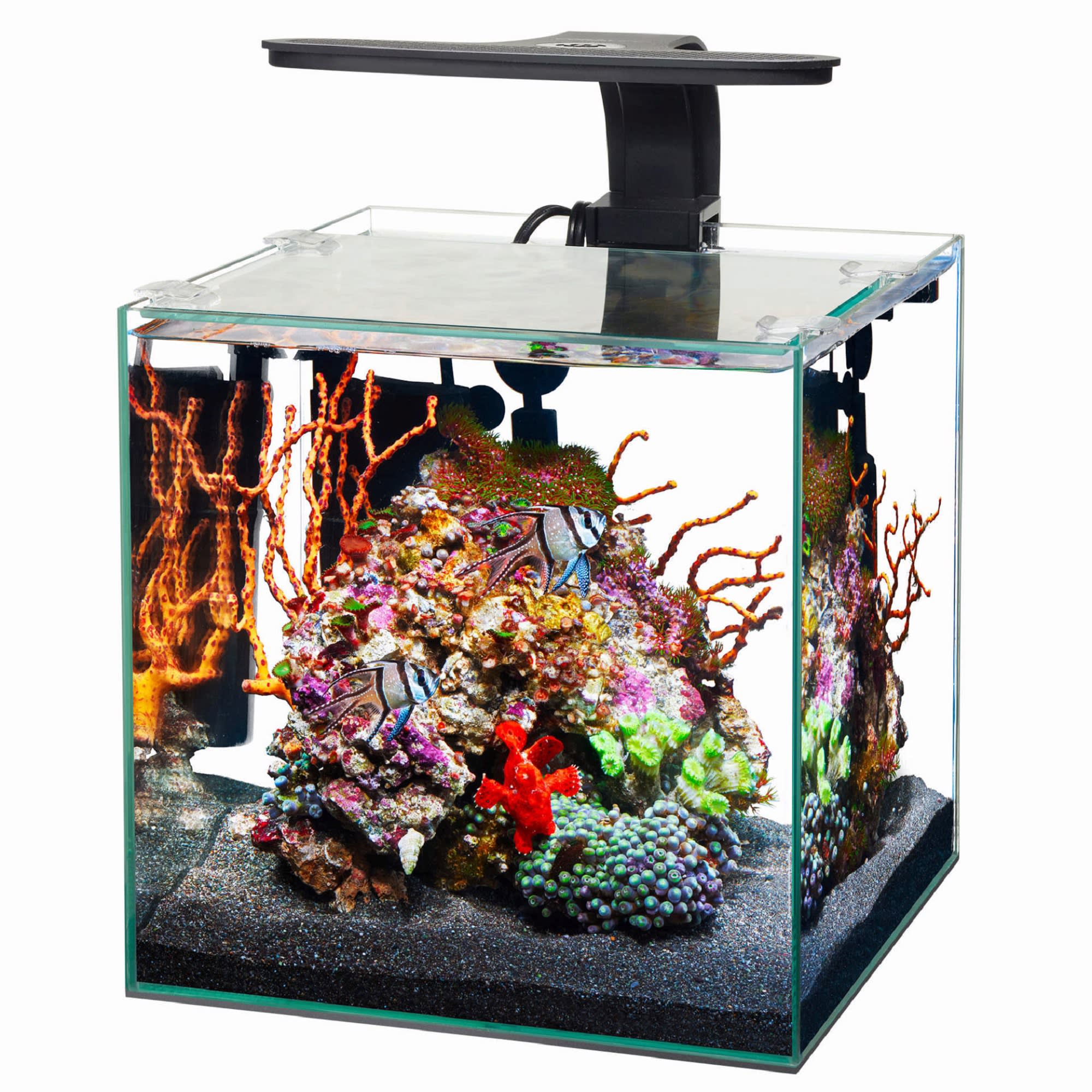 Aqueon Frameless Cube Aquarium, 3 Gallon - Image 1
