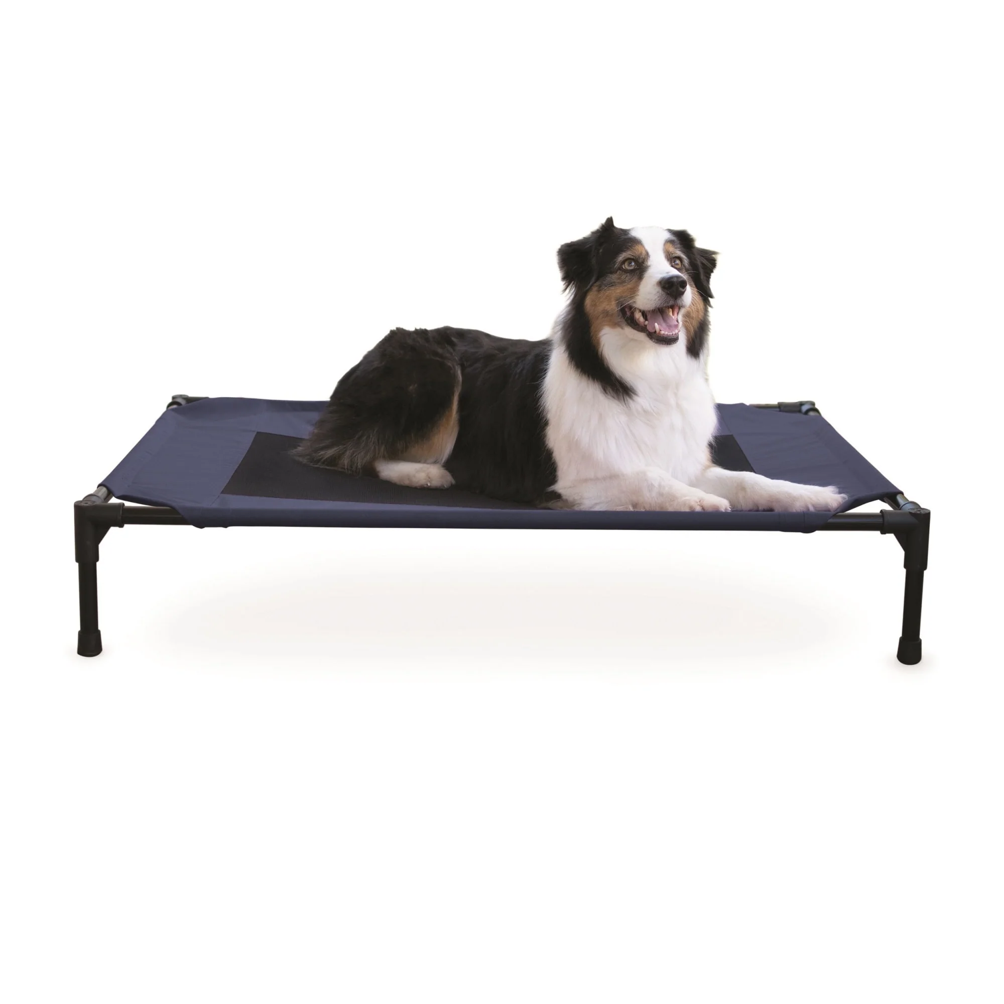 K&H Pet Products Original Pet Cot Elevated Pet Bed Large Blue 30  x 42  x 7 - Image 1