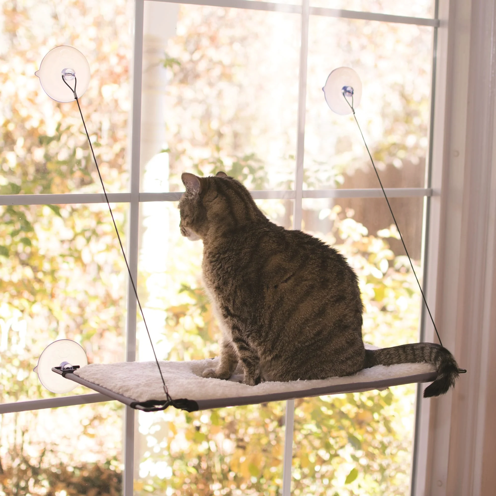 K&H Pet Products Window Lounger Cat Perch Natural 12  x 23  x 14 - Image 1