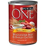 Purina ONE Natural, High Protein Gravy Wet Dog Food, SmartBlend Tender Cuts in Gravy Beef & Barley, 13 oz. Can - Image 1