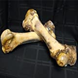 Merlins Magic Mamoth Femur Bone - Image 1