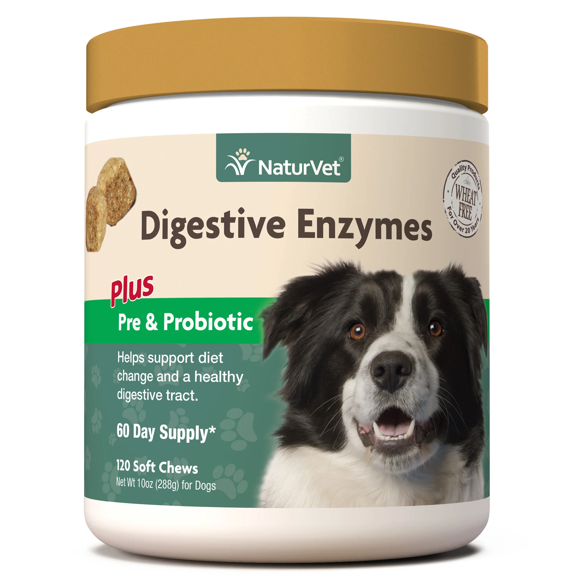 NaturVet Healthy Probiotics and Digestive Enzyme Soft Chew Supplement for Dogs, 120 Soft Chews - Image 1