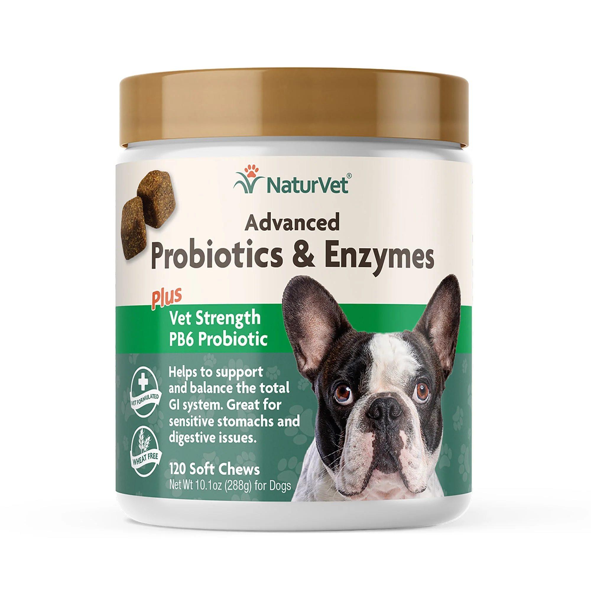 NaturVet Advanced Probiotics & Enzymes for Dogs  120 Soft Chews - Image 1