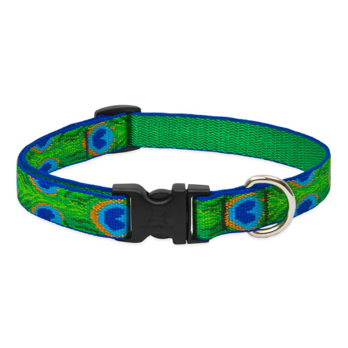 Lupine Pet Dog 3/4 In Wide 15-25 In Adjustable Collar Original Designs Tailfeathers - Image 1