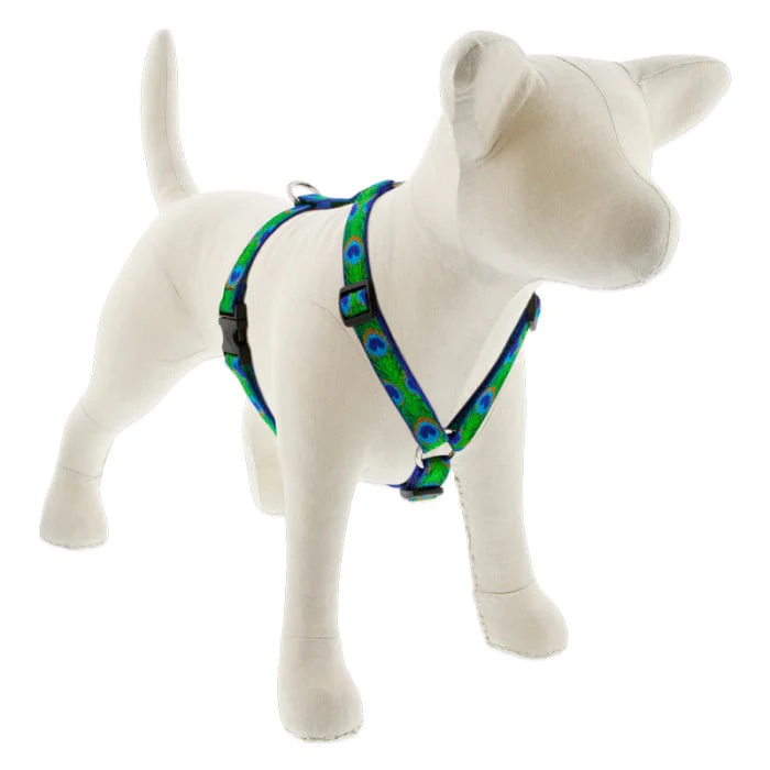 Lupine Pet Dog 3/4 In In Wide 14-24 In Roman Harness Original Designs Tailfeathers - Image 1