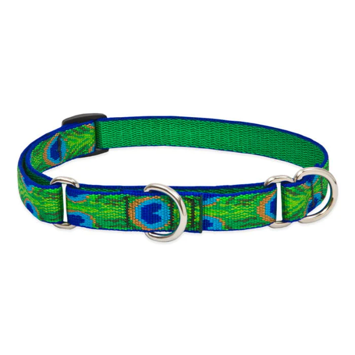 Lupine Pet Dog 3/4 In Wide 10-14 In Martingale Collar Original Designs Tailfeathers - Image 1