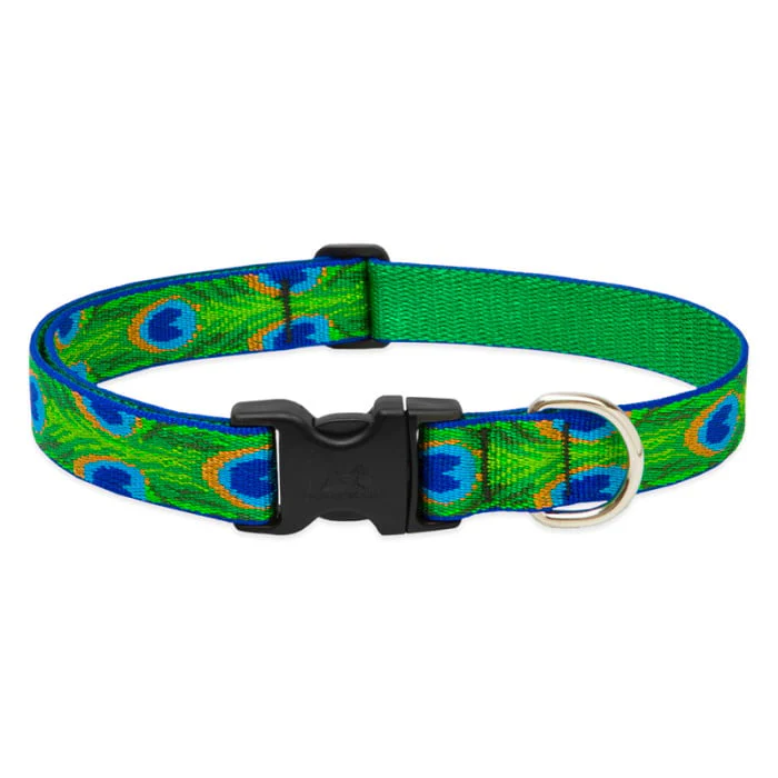 Lupine Pet Dog 1 In Wide 16-28 In Adjustable Collar Original Designs Tailfeathers - Image 1
